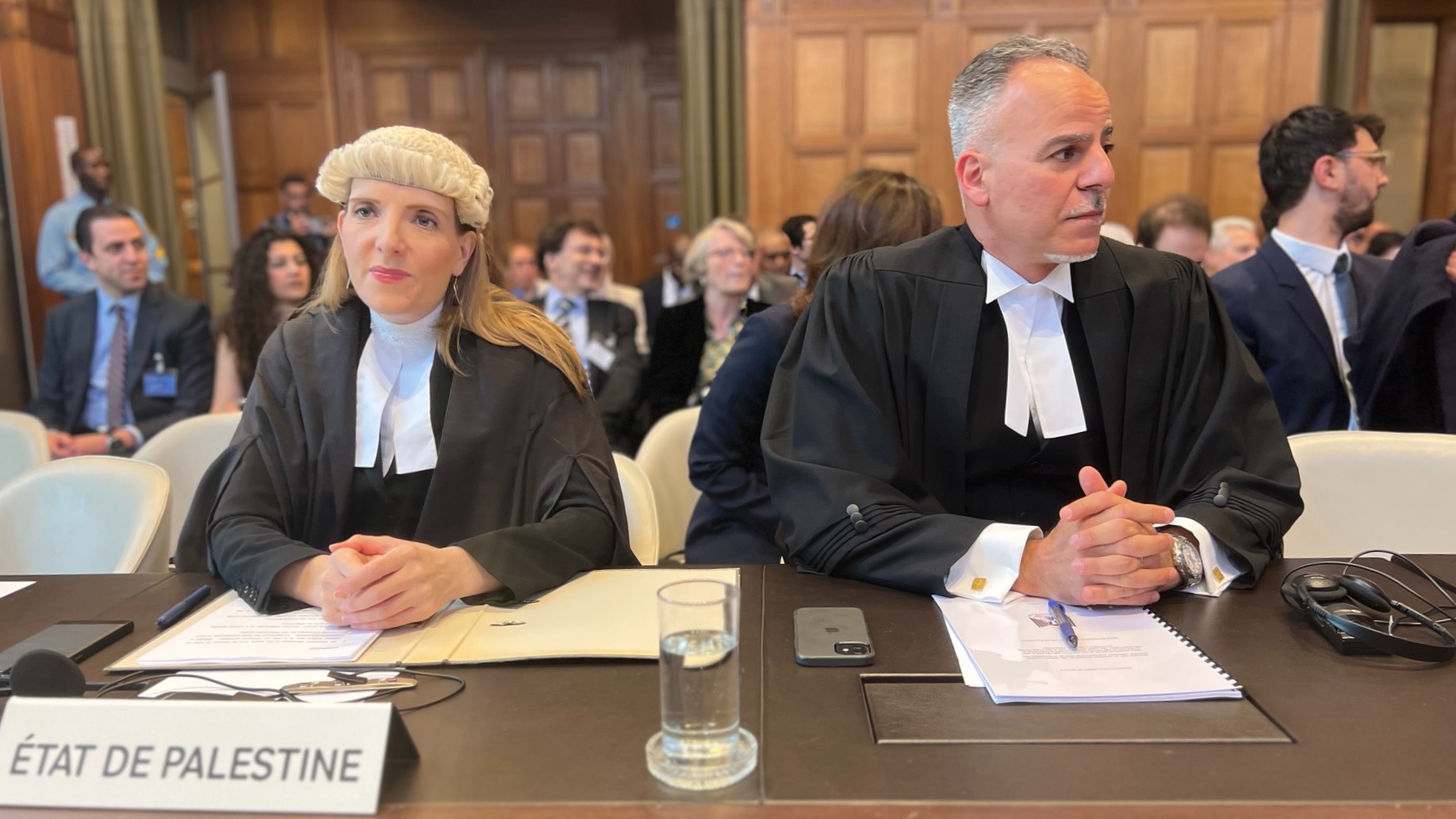 Palestine legal team ICJ April 2025