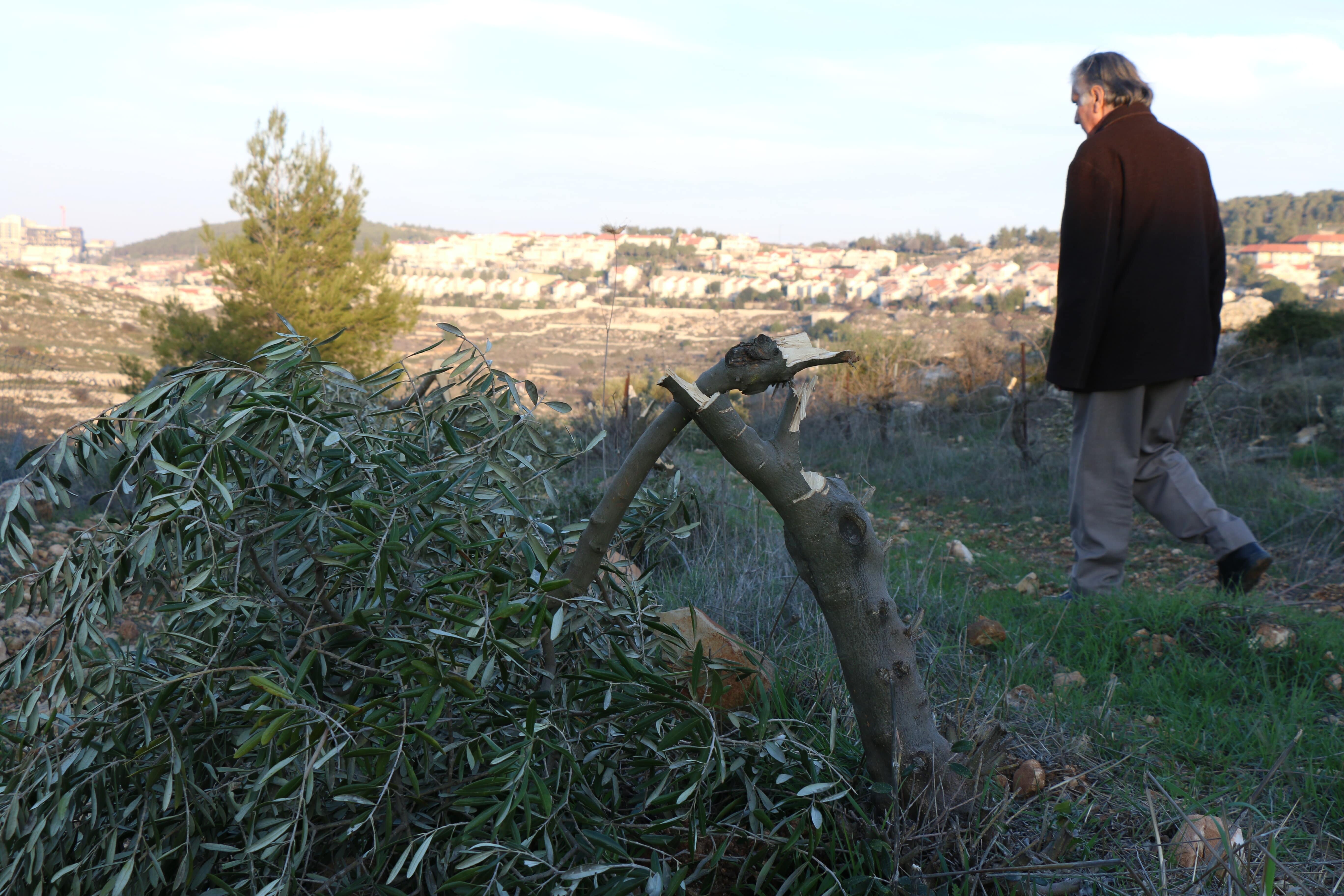 Israeli police have been non-cooperative in the investigation into the attack