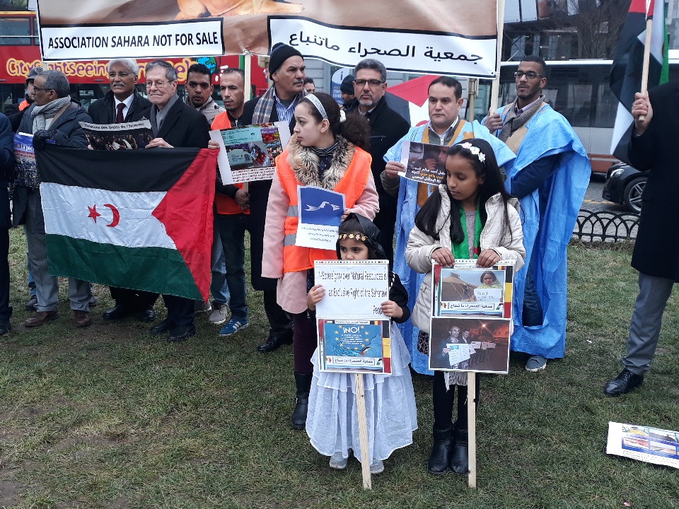 Activists protest outside the European Parliament in Brussels on 6 February  (Supplied/Mohamed Elbaikam)