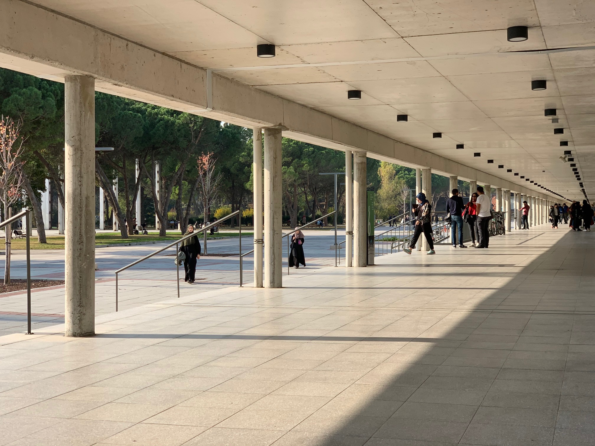 istanbul sehir university
