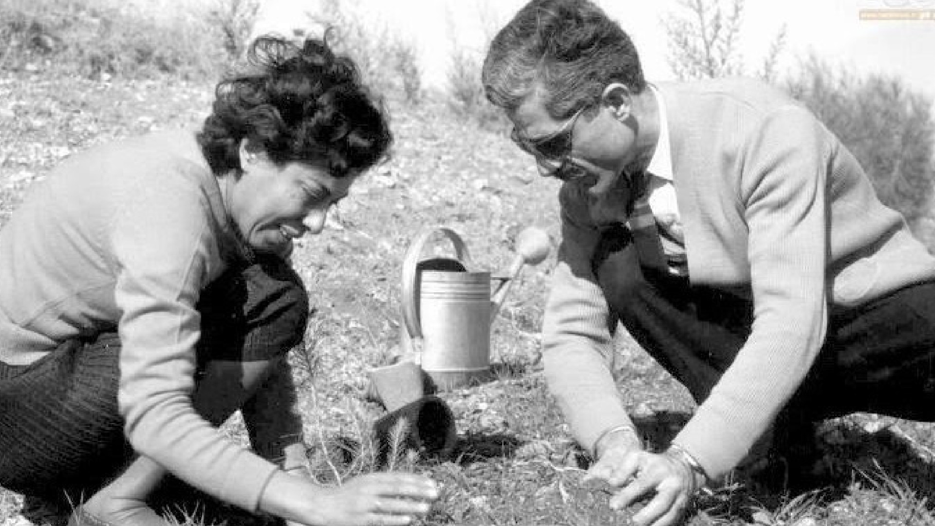 Simin Daneshvar, Jalal's wife, was a towering literary figure in her own right