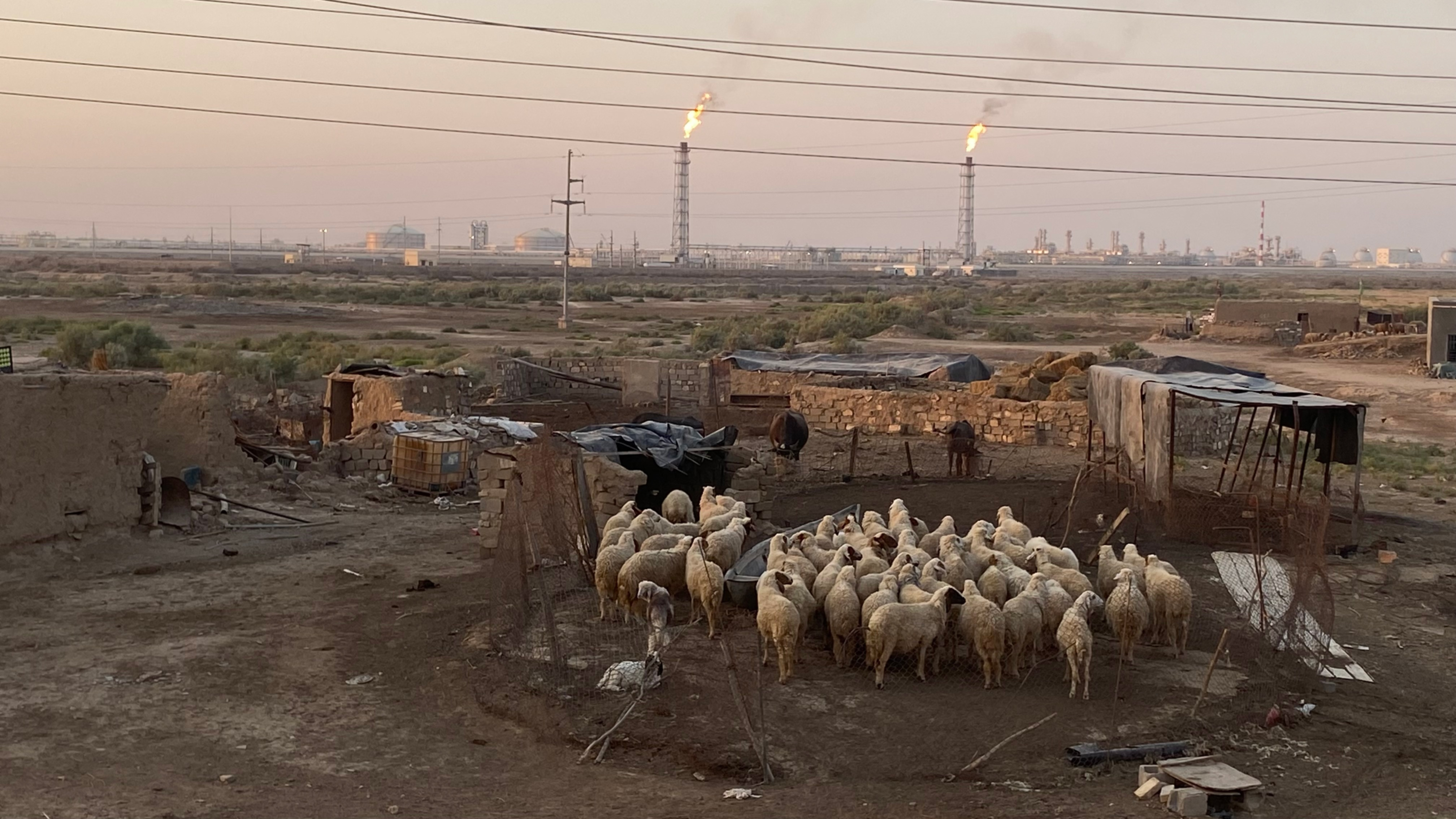 Flaih's family lives a few kilometres from the Halfaya oil field (MEE/Tamara Imad)