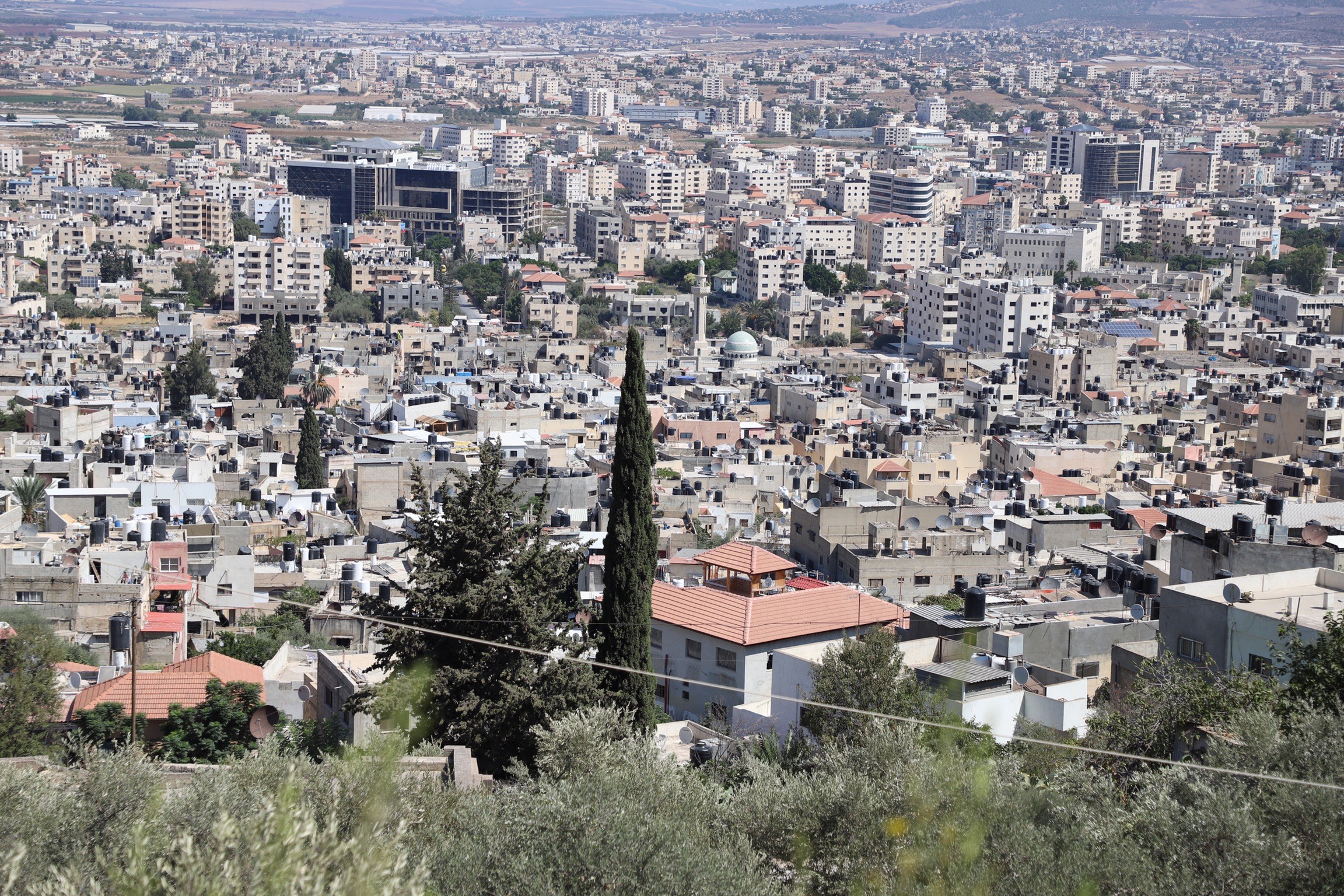 Jenin city and camp