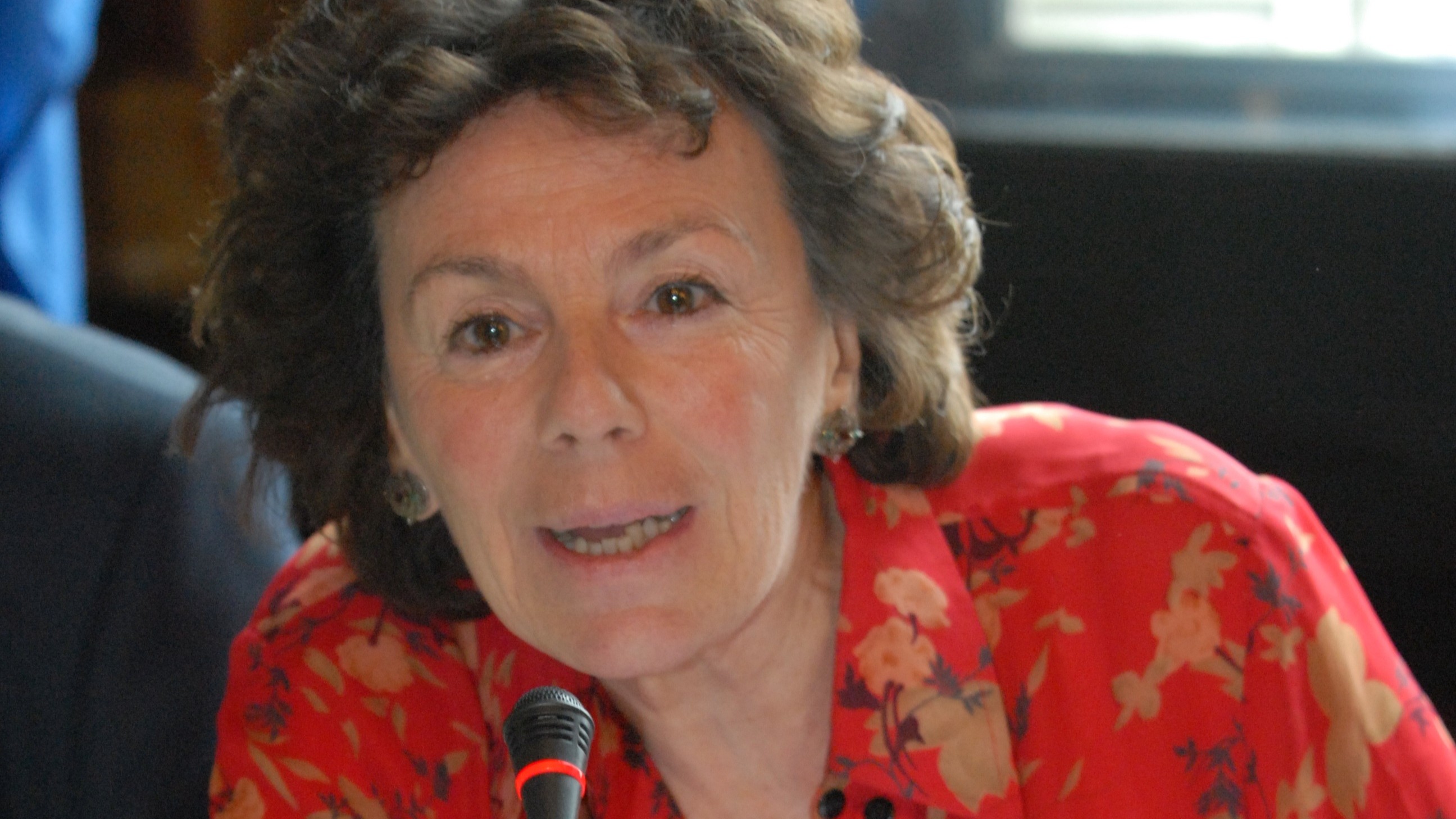 Mourad speaks about her work at a public event. (Supplied)