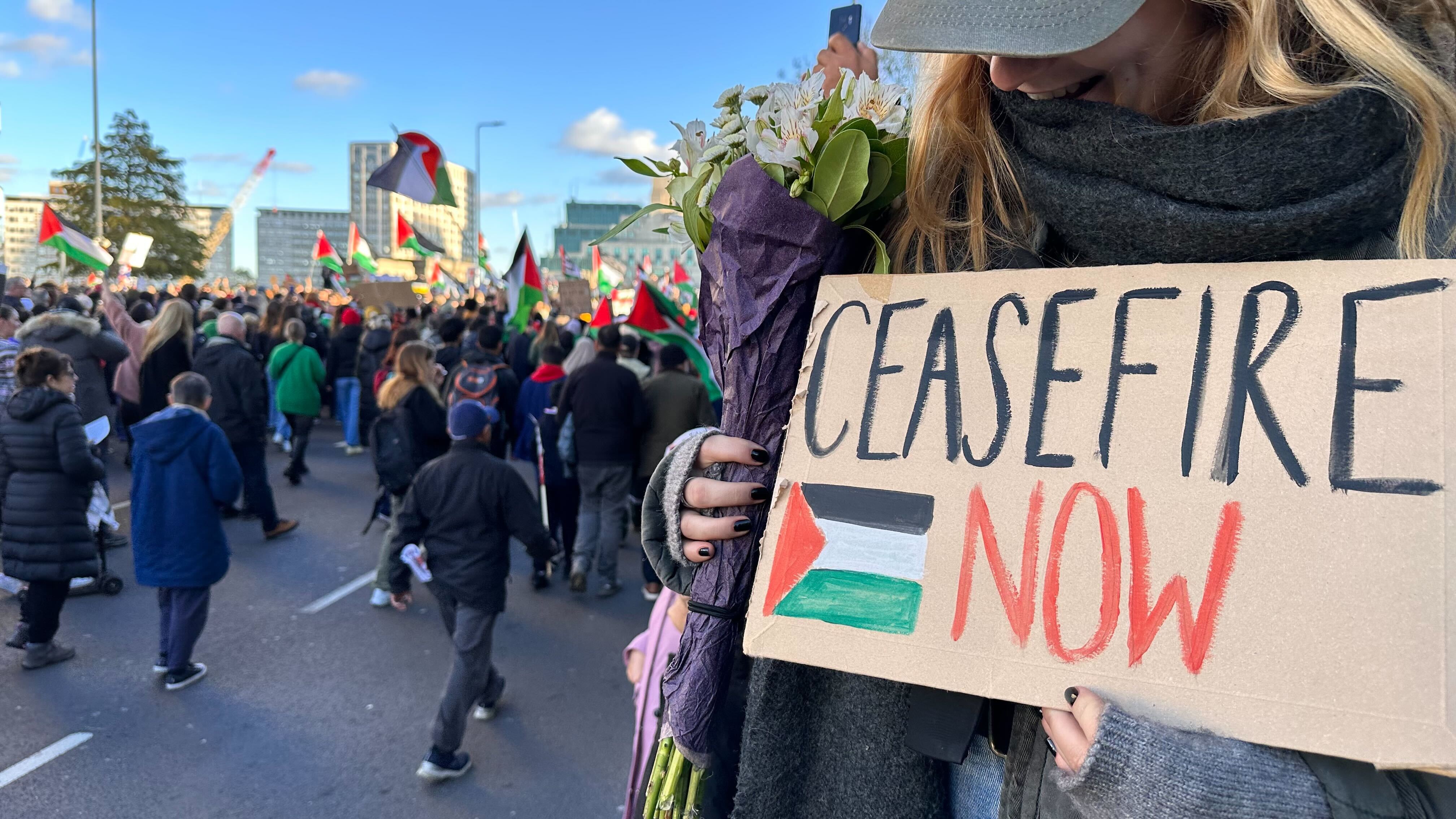 London protest for Palestine on 11 November 2023 (MEE)