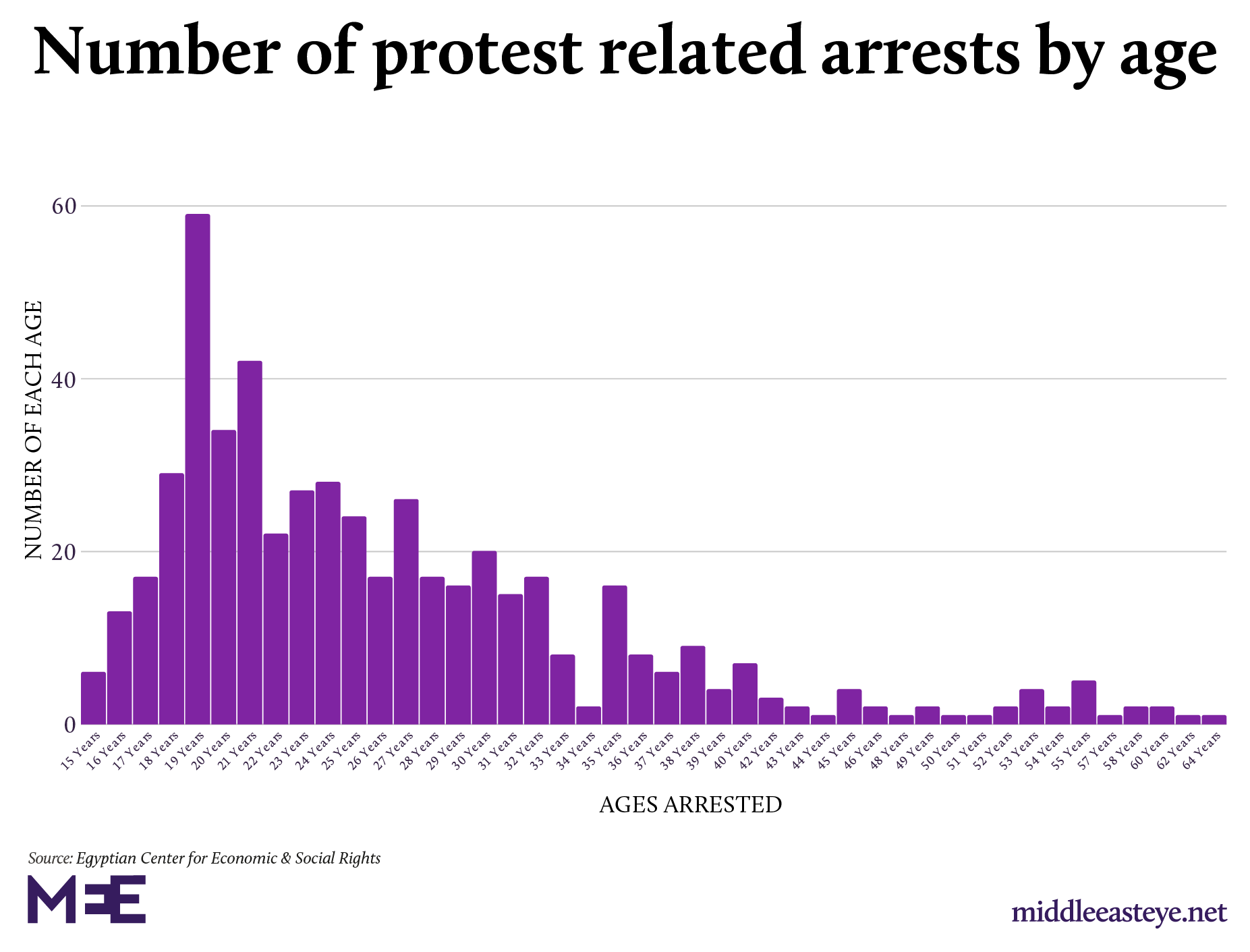 Age of protesters arrested Egypt 2019