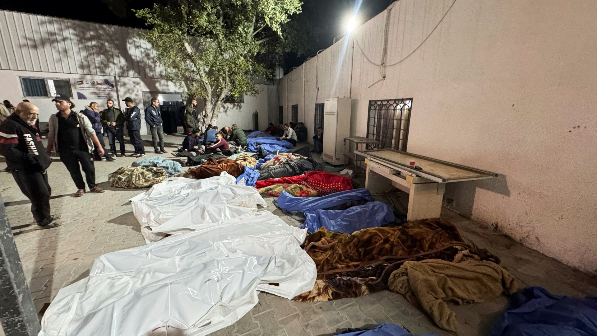 gaza bodies
