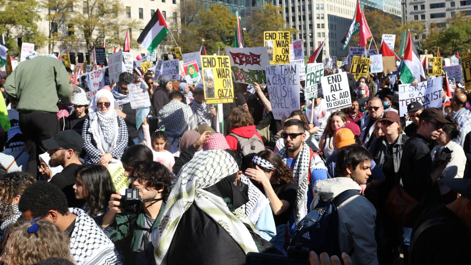 Protesters gather at Freedom Plaza on 4 November 2023.