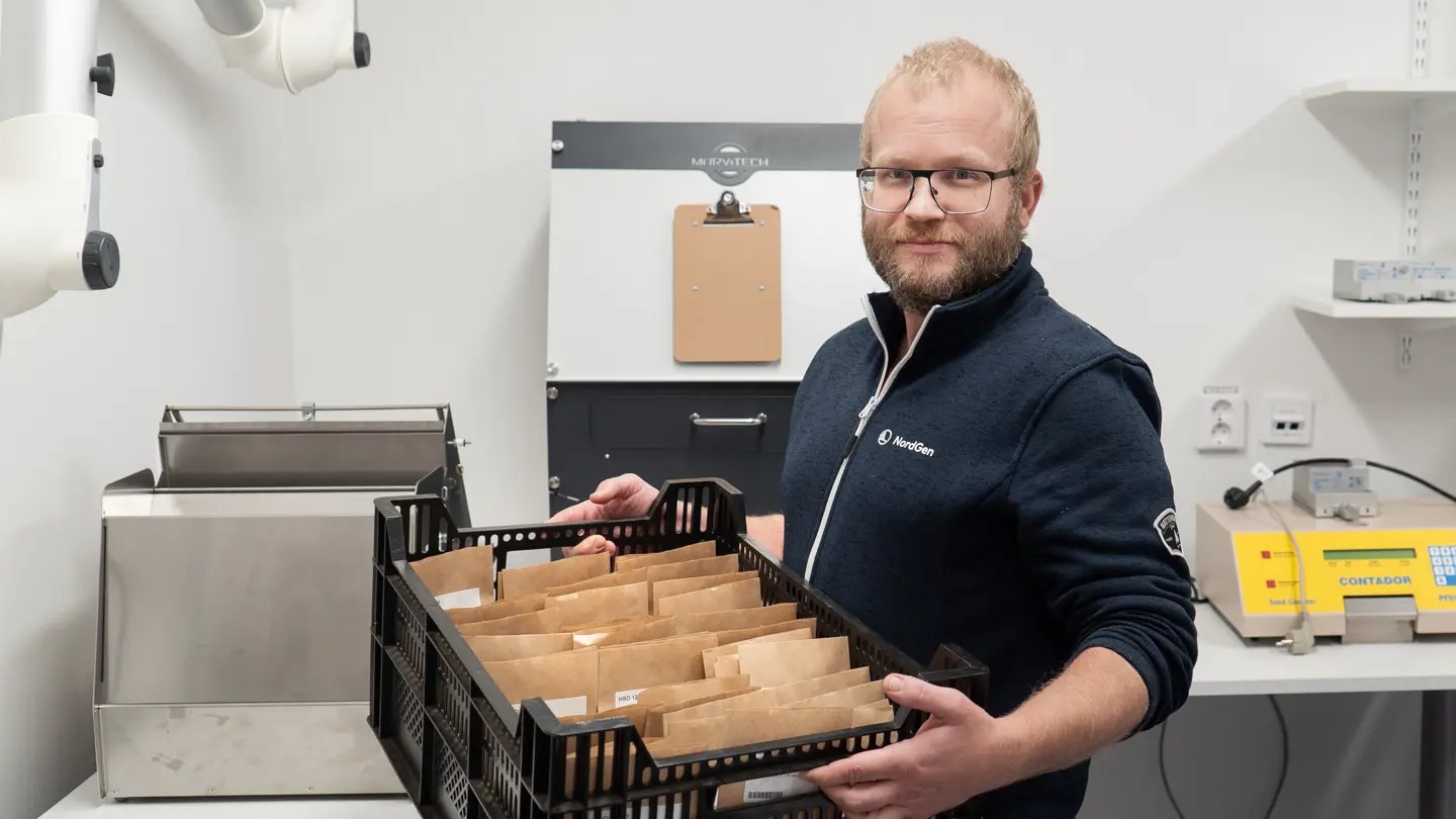 Johan Axelsson, head of NordGen's seed laboratory, with some of the seeds that were sent from Sudan. 