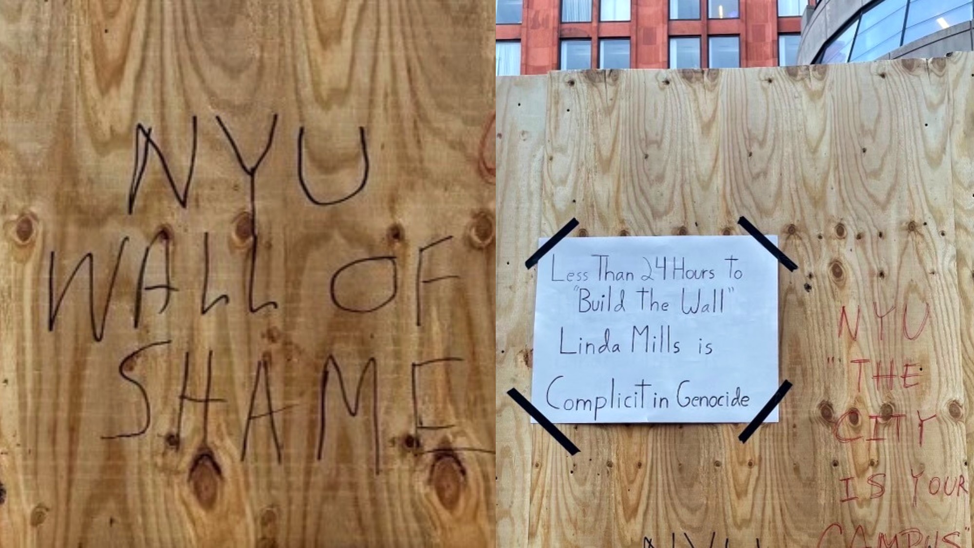 The wall drew immediate outrage and ridicule from students and bystanders (PSC NYU/MEE)