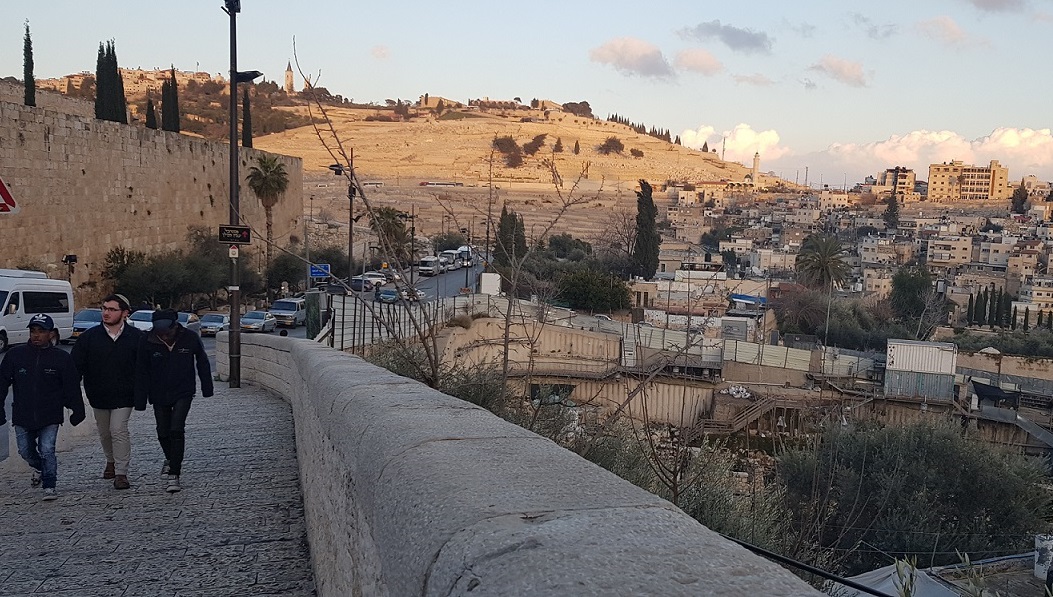 À la place de l’olivier au premier plan, un pylône de 200 mètres de haut sera placé pour soutenir le téléphérique. Au fond, le mont des Oliviers, possible station dans le futur (MEE/Marie Niggli)