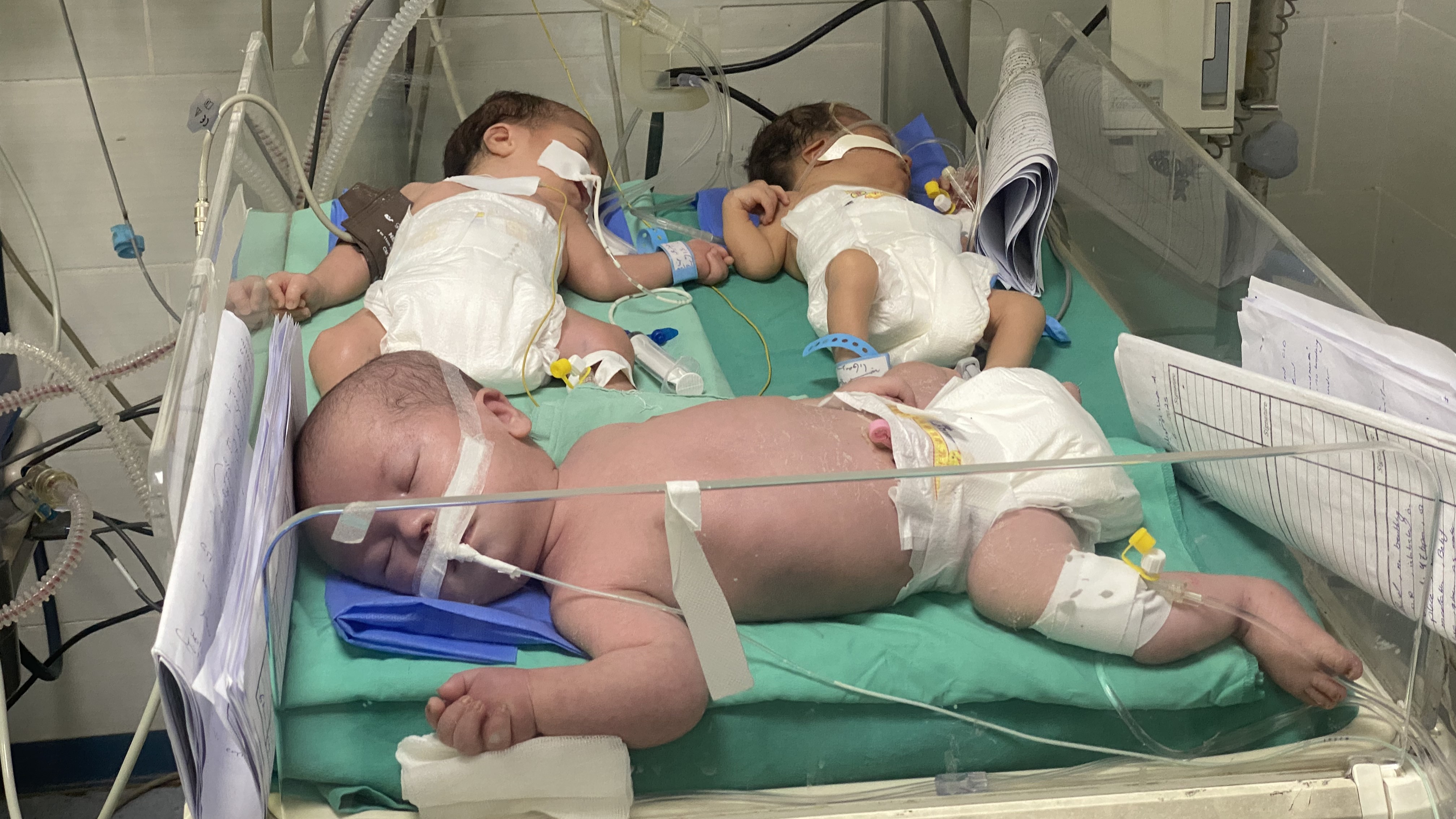 Palestinian infants receiving care amid overcrowded conditions at Al-Helou Hospital 