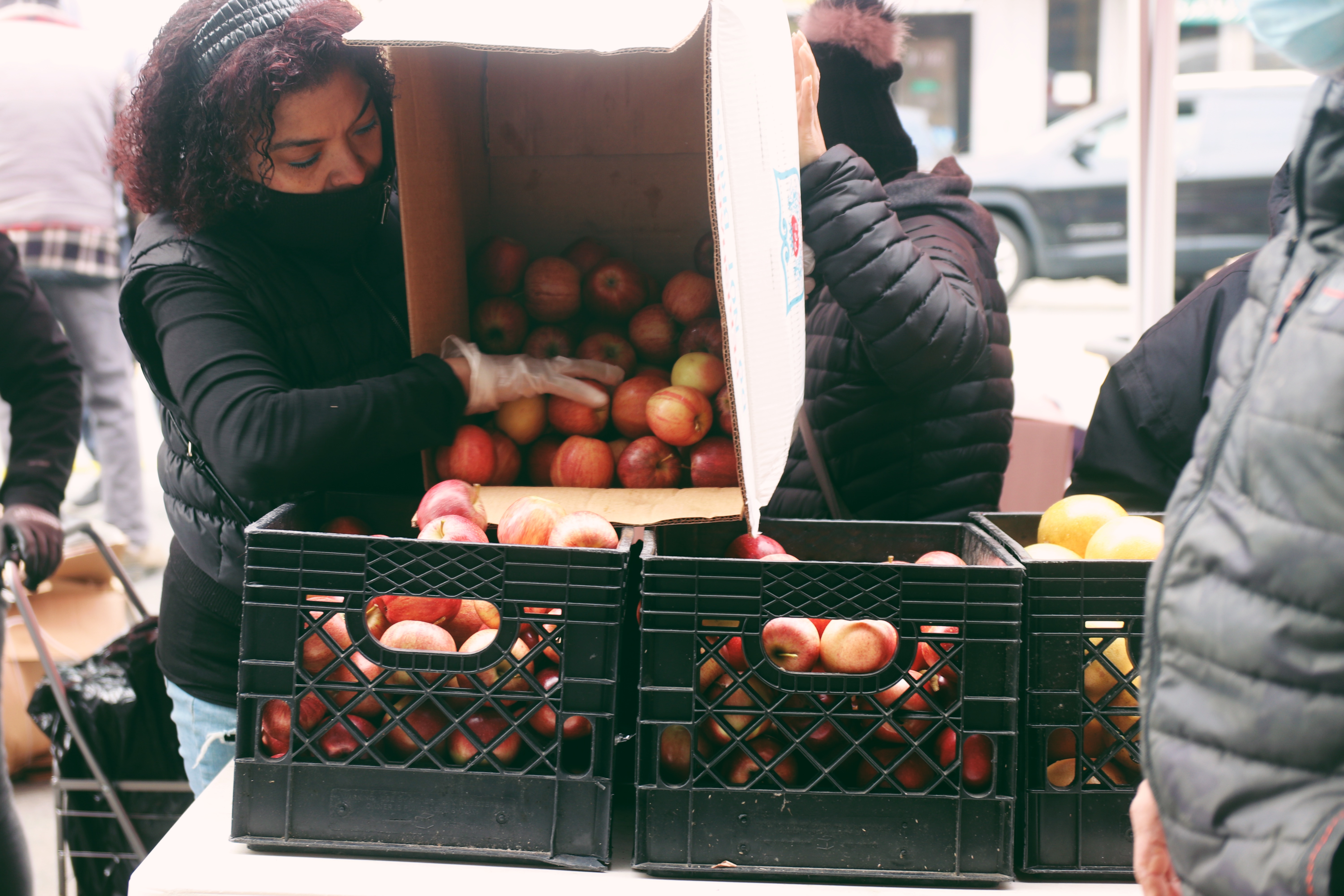 A volunteer at a food pantry in Brooklyn, NY.