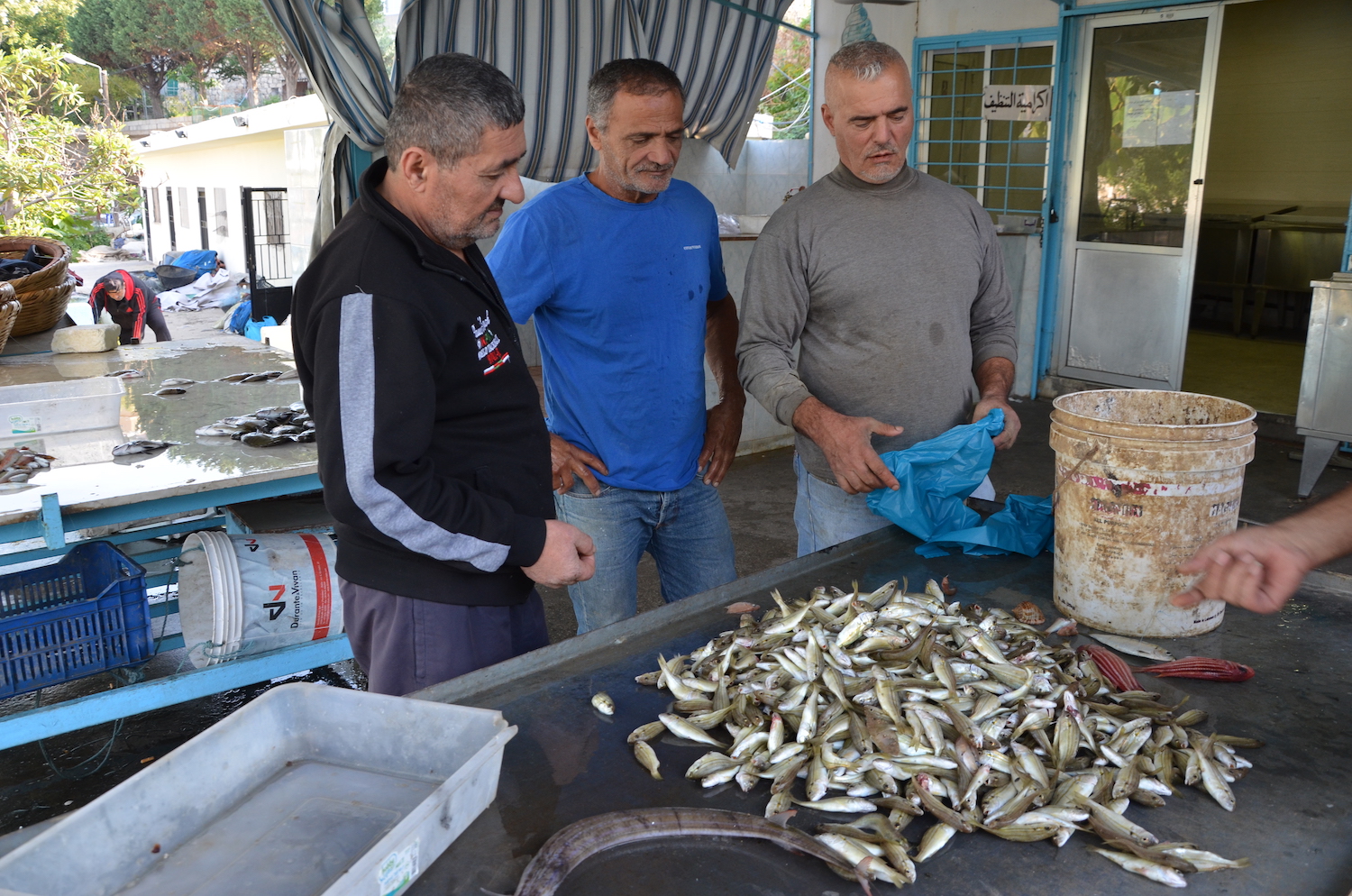 Climate change, Lebanon
