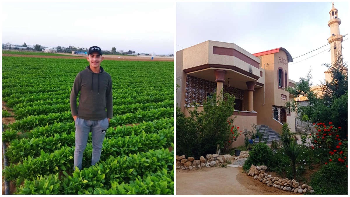 The author is pictured on his family's farmland (left), alongside an undated photo of their home in Khuza'a, in the Gaza Strip, before both were destroyed by Israeli forces (Supplied)