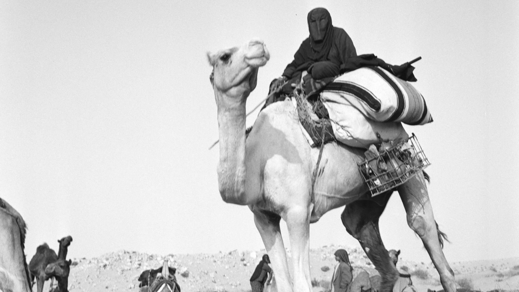 A Qatari Bedouin woman on a camel (The David Collection/Jette Bang)