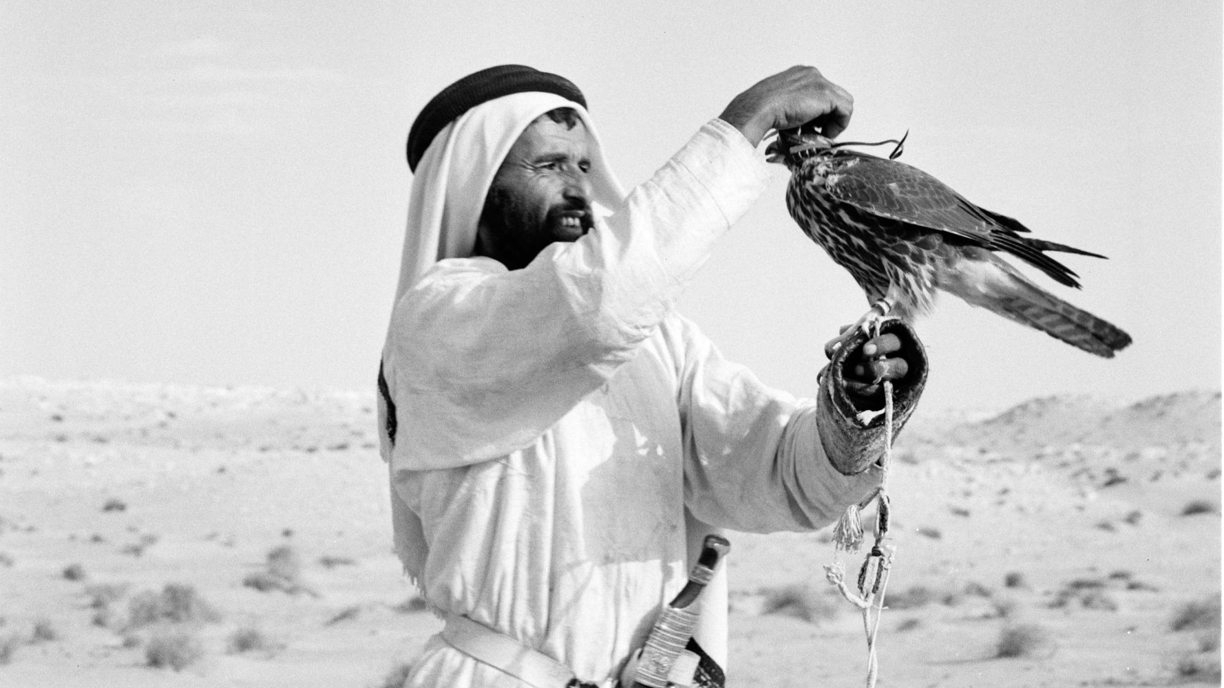A Qatari man rests his falcom (The David Collection/Jette Bang)  ​