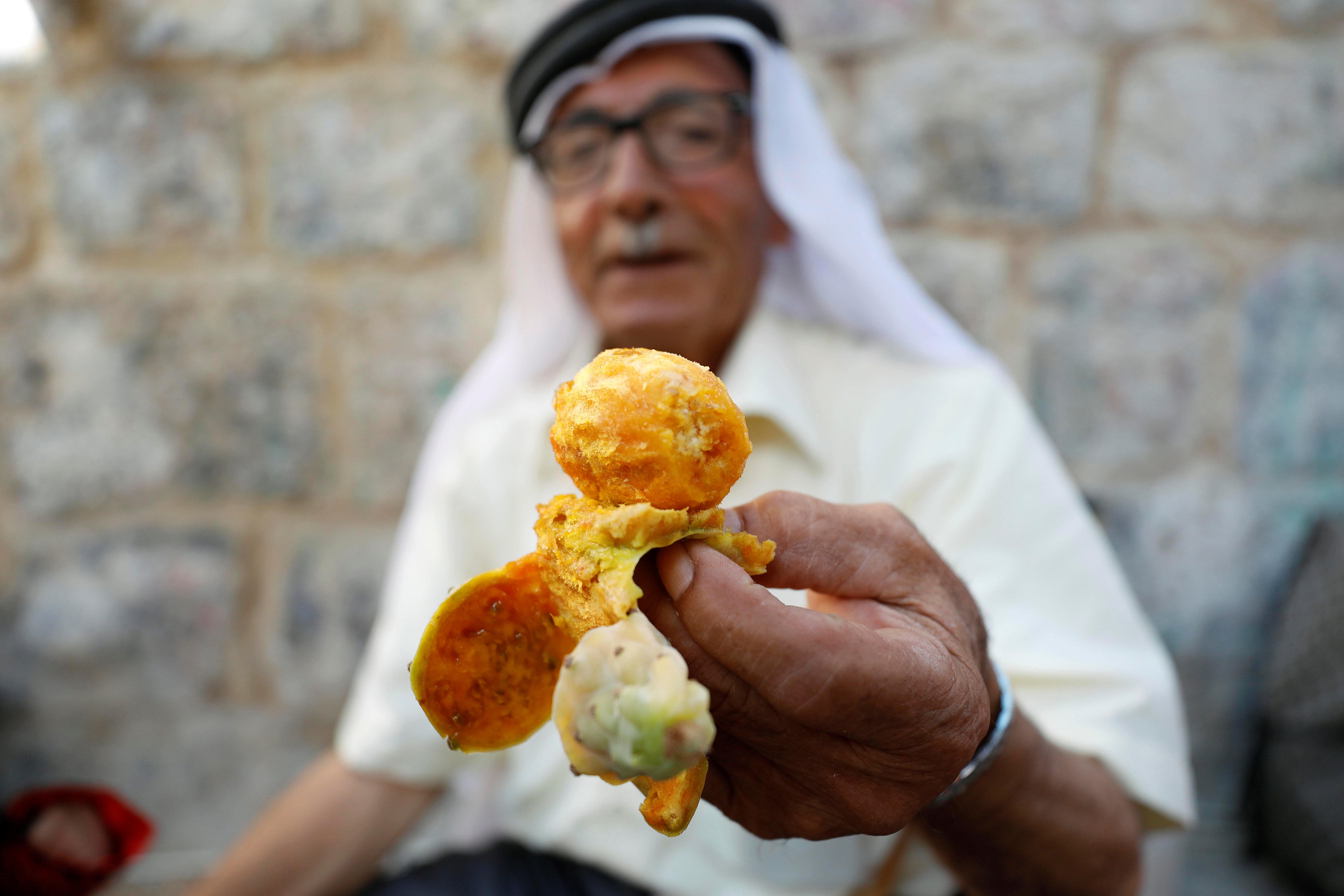 prickly pear palestine fruit 
