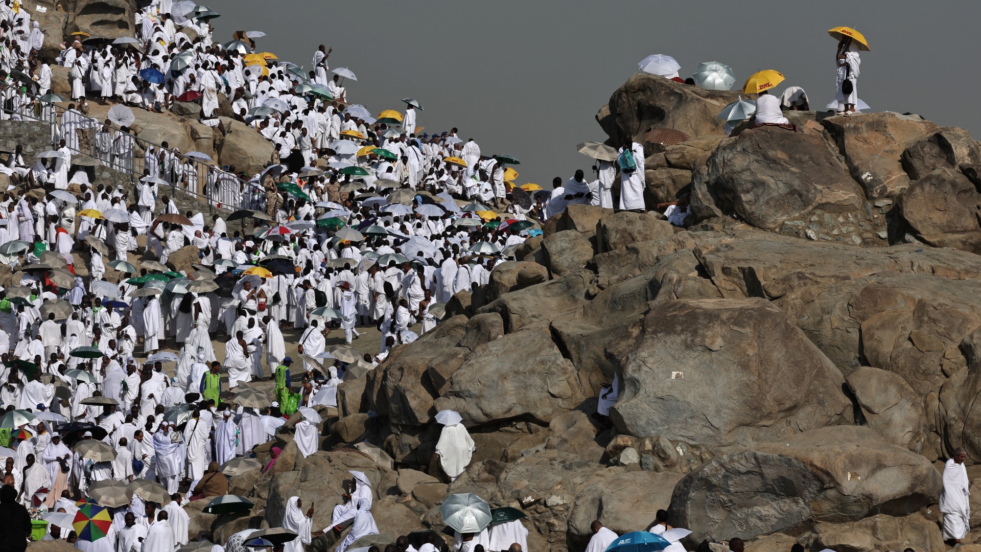 Muslim pilgrims pray at dawn on Saudi Arabia's Mount Arafat, also known as Jabal al-Rahma or Mount of Mercy, during the climax of the Hajj pilgrimage on 15 June 2024 (Fadel Senna/AFP)