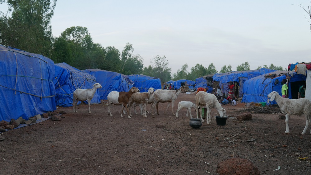 The Senou camp is home to about 600 people (Amandla Thomas-Johnson/MEE)