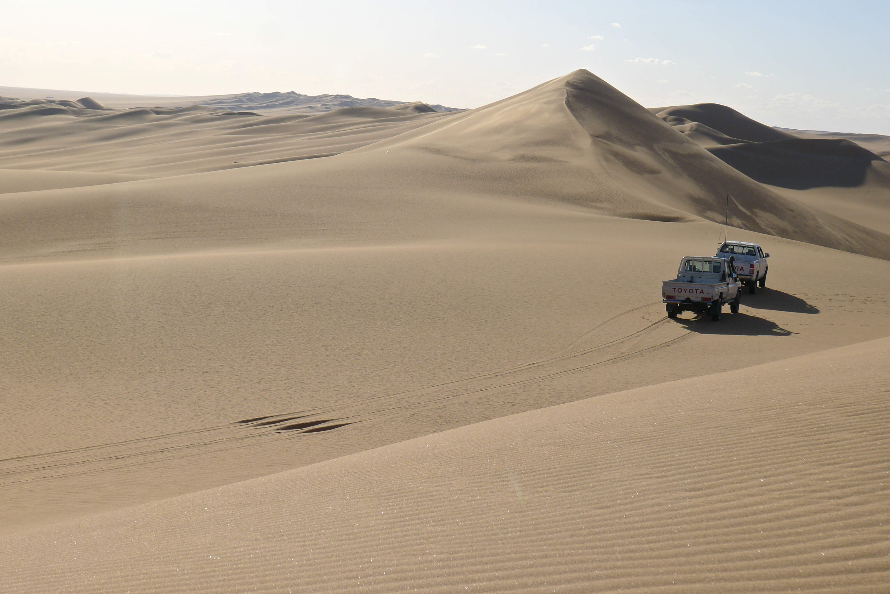 Sharara security forces on patrol in 2015 (MEE/Tom Wescott)