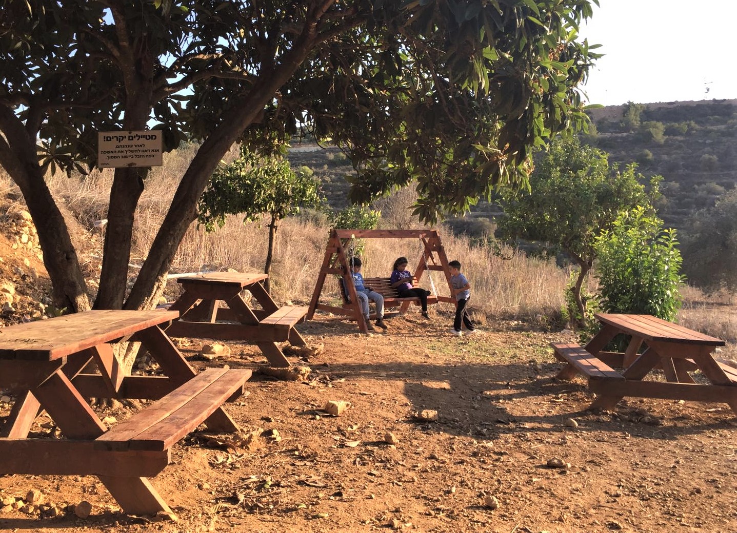Des enfants palestiniens assis sur une balançoire installée par des colons israéliens sur les terres agricoles de leur famille à proximité de Ramallah, le 2&nbsp;novembre&nbsp;2019 (MEE/Shatha Hammad)