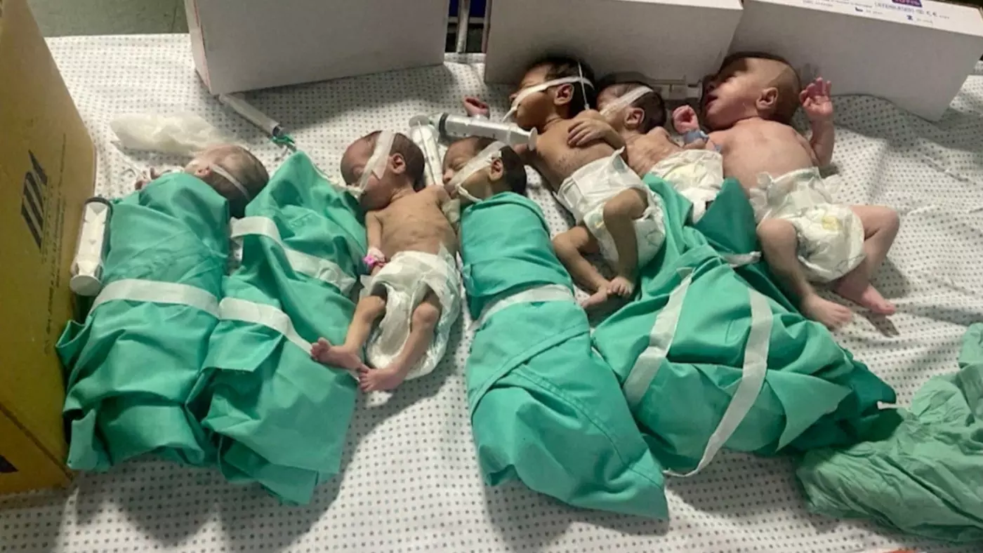 newborn babies incubators gaza