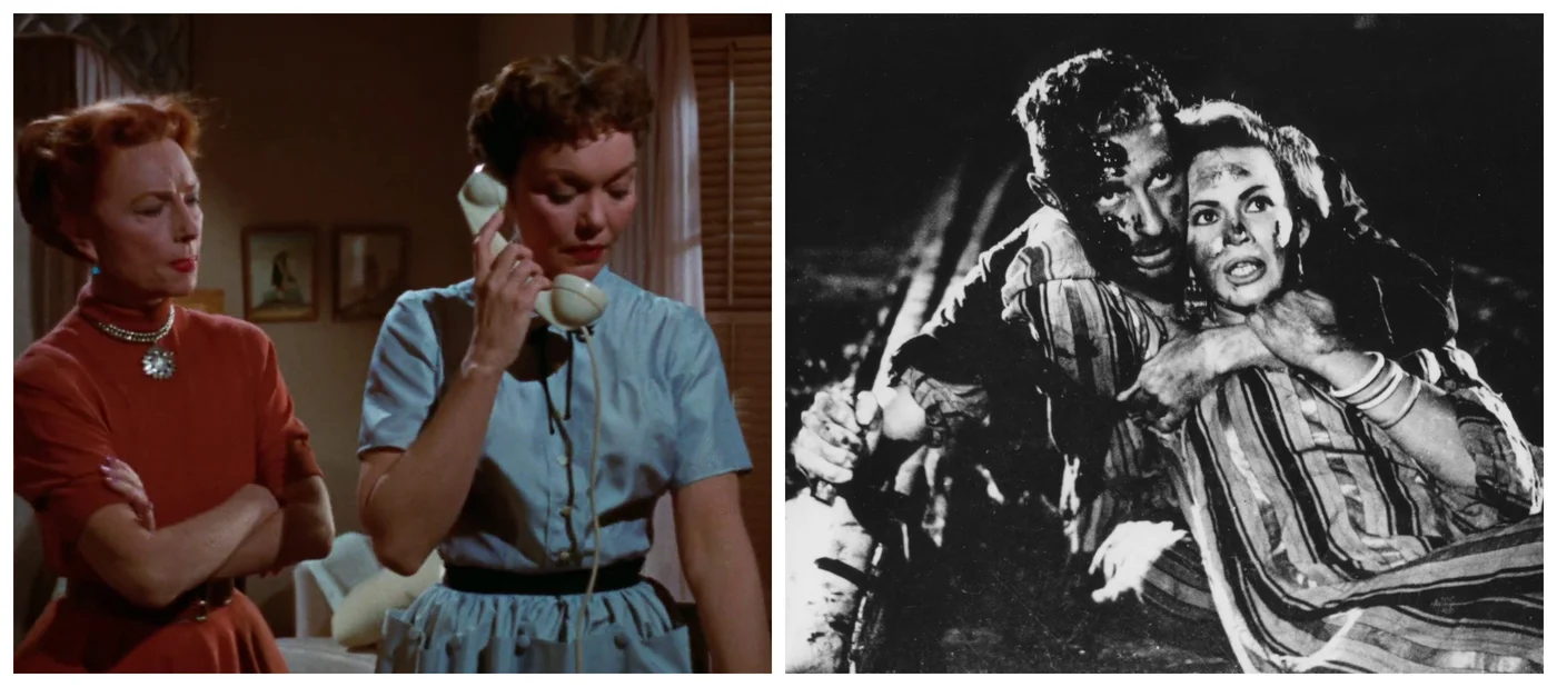 Classics revisited: All That Heaven Allows by Douglas Sirk; and Cairo Station by Youssef Chahine (creative commons)