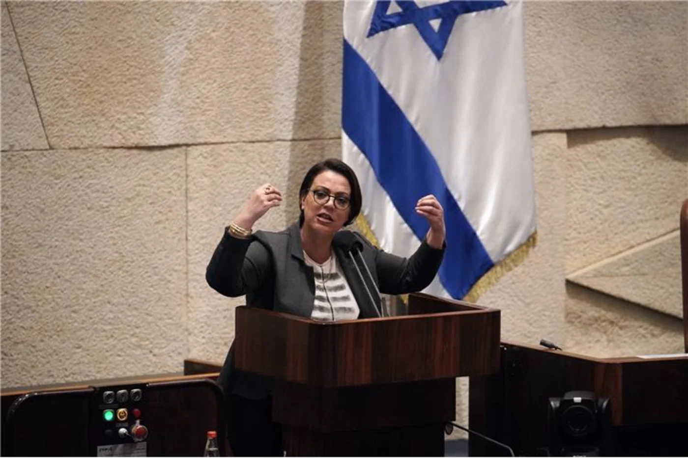 Galit Distal-Atbaryan (Knesset)