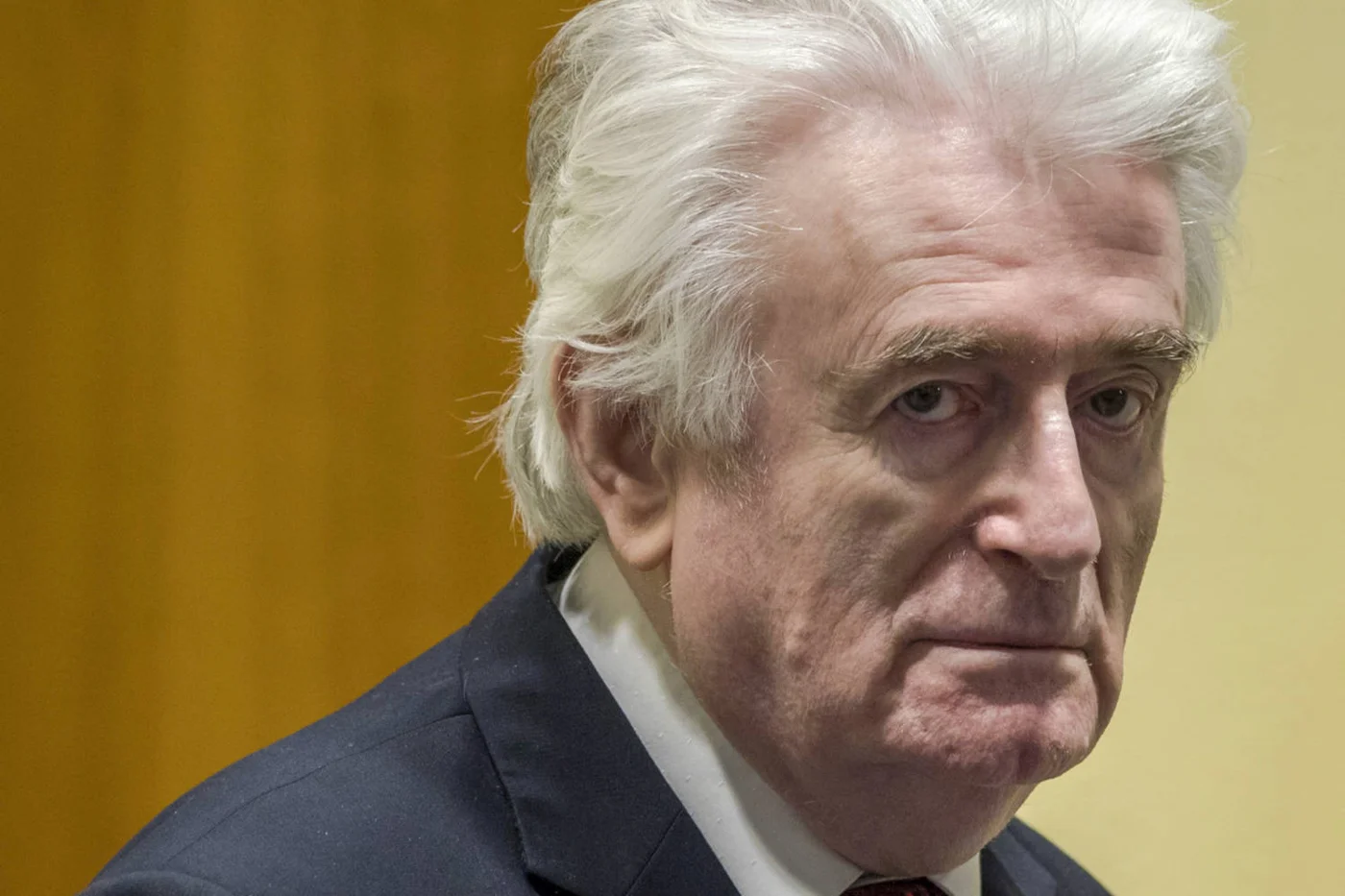 Former Bosnian Serb leader Radovan Karadzic is sentenced at the International Residual Mechanism for Criminal Tribunals in The Hague, Netherlands, in 2019 (AFP)
