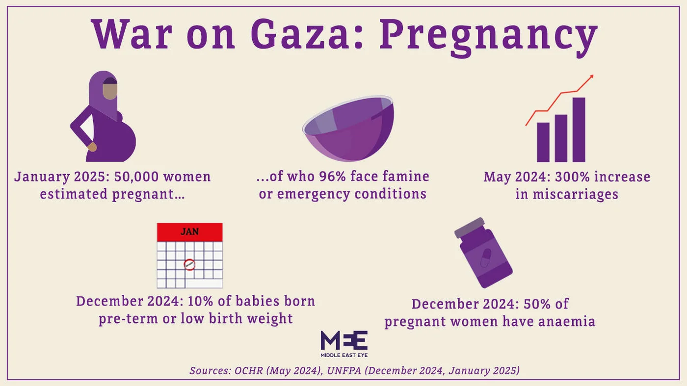 Pregnancy in Gaza