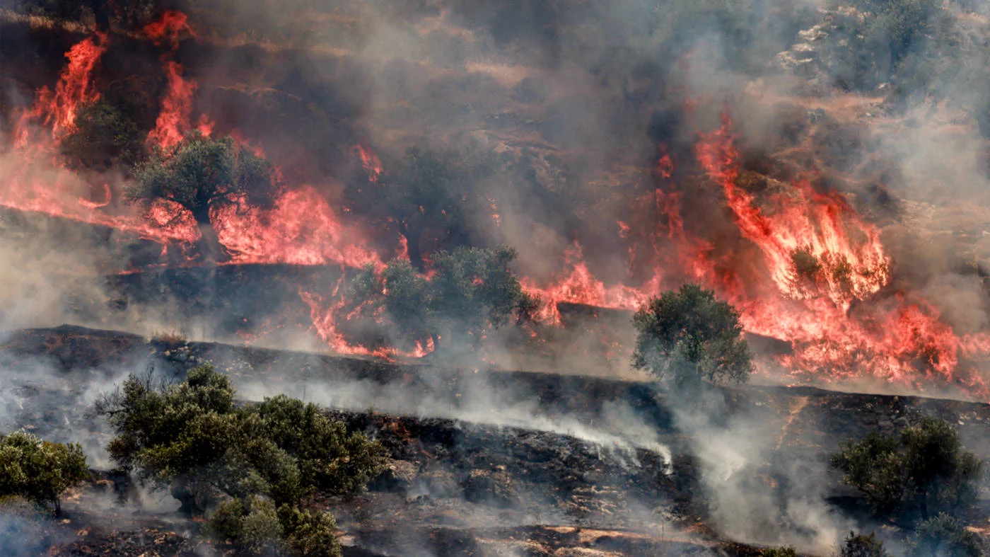 A fire blazes in an olive grove in the village of Salem, east of Nablus in the occupied West Bank on 25 May 2025, which villagers say was started by Israeli settlers (AFP)