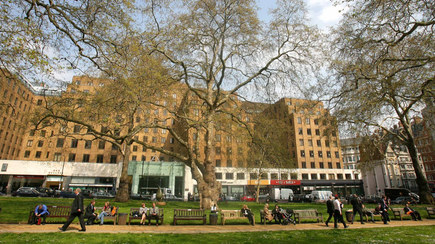Berkeley Square in Mayfair is among the London land owned by the UAE (AFP)