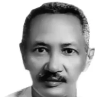 Profile picture for user Atta El-Battahani