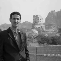 Profile picture for user Naseh Shaker