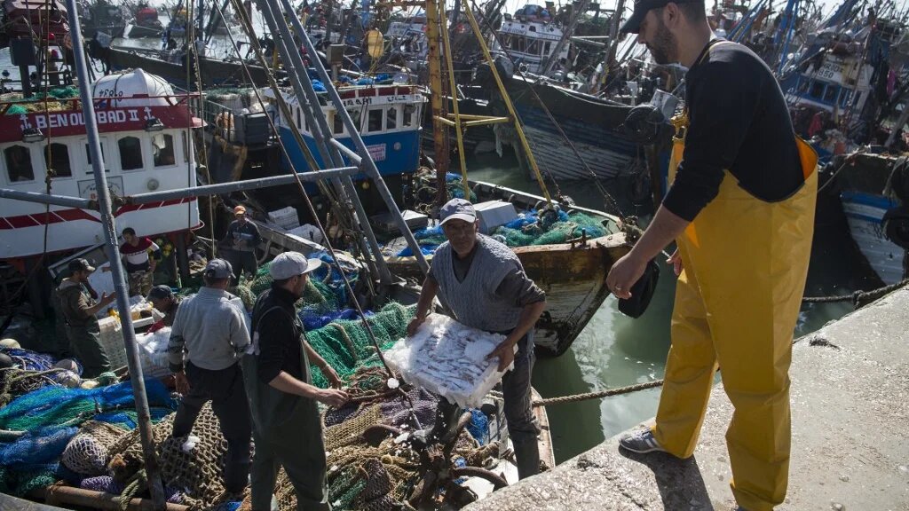 Le protocole de pêche conclu entre l’Union et le Maroc, renouvelé en mars 2019 et annulé mercredi, permettait à 128 navires européens d’accéder durant quatre ans aux zones de pêche des eaux atlantiques marocaines, y compris au large du Sahara occidental (AFP/Fadel Senna)