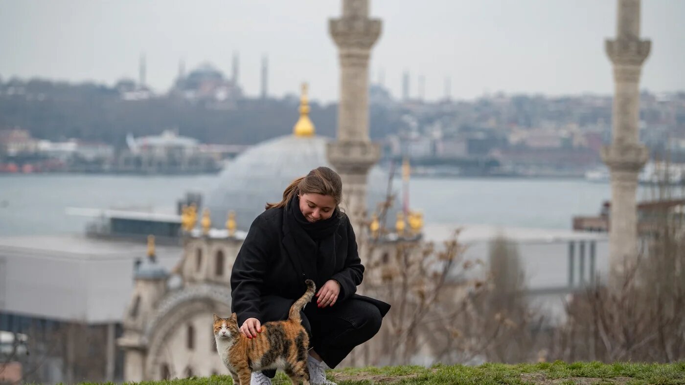 A Russian woman and cat of unknown nationality are seen in Istanbul after leaving Russia for Turkey following the invasion of Ukraine (AFP)