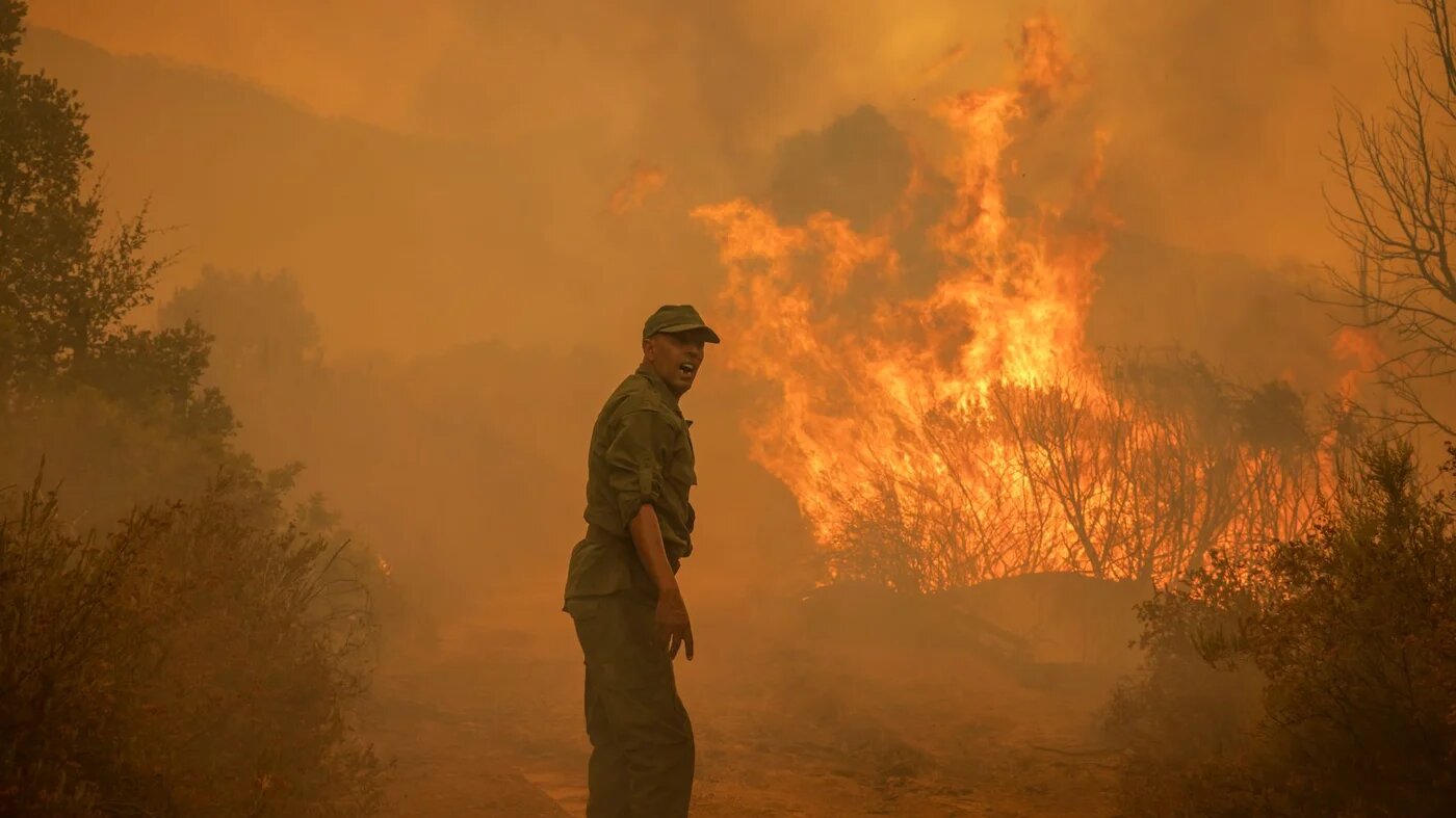 A Moroccan soldier reacts next to a forest fire near Ksar el-Kebir in the Larache region, on 15 July 15, 2022. (AFP)
