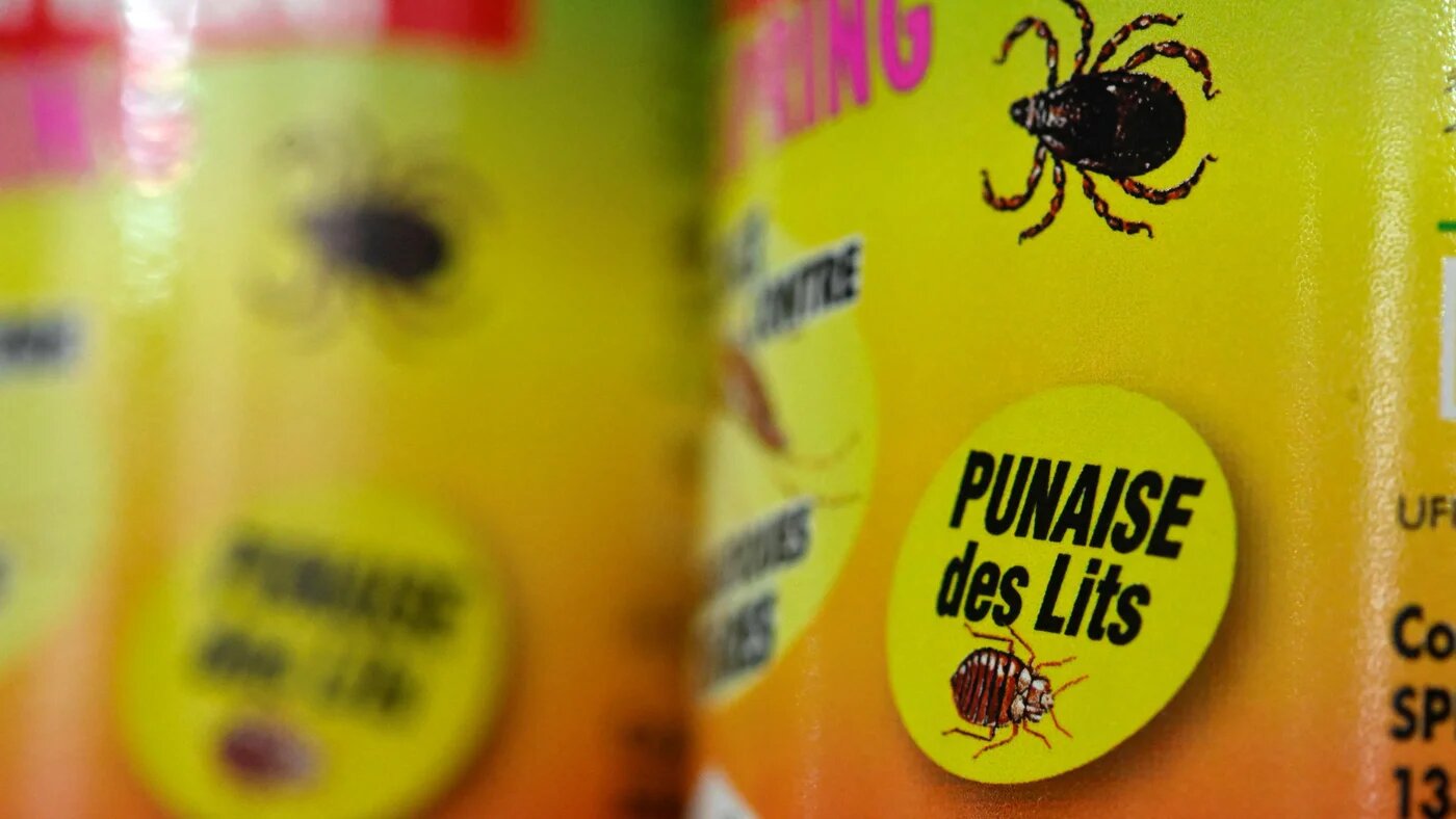 This photograph taken on October 3, 2023 shows a product used to eradicate bedbugs at the Hygiene Premium, pest control shop in Paris (AFP)