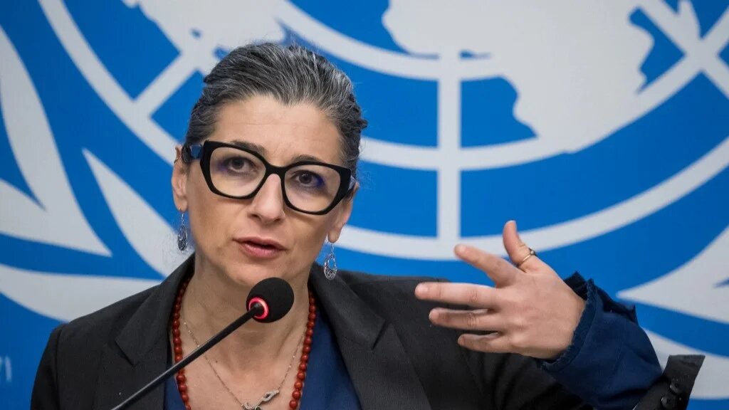 UN Special Rapporteur on the Rights Situation in the Palestinian Territories, Francesca Albanese speaks during a press conference during a session of the UN Human Rights Council, in Geneva, on March 27, 2024 (AFP)