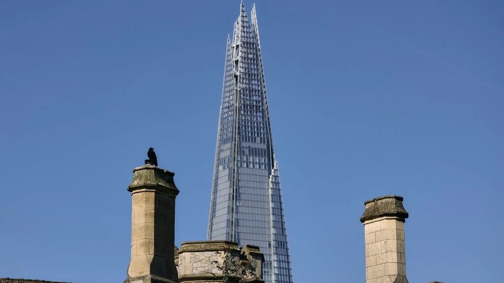 A raven rests outside its enclosure at the Tower of London, backdropped by The Shard (AFP)