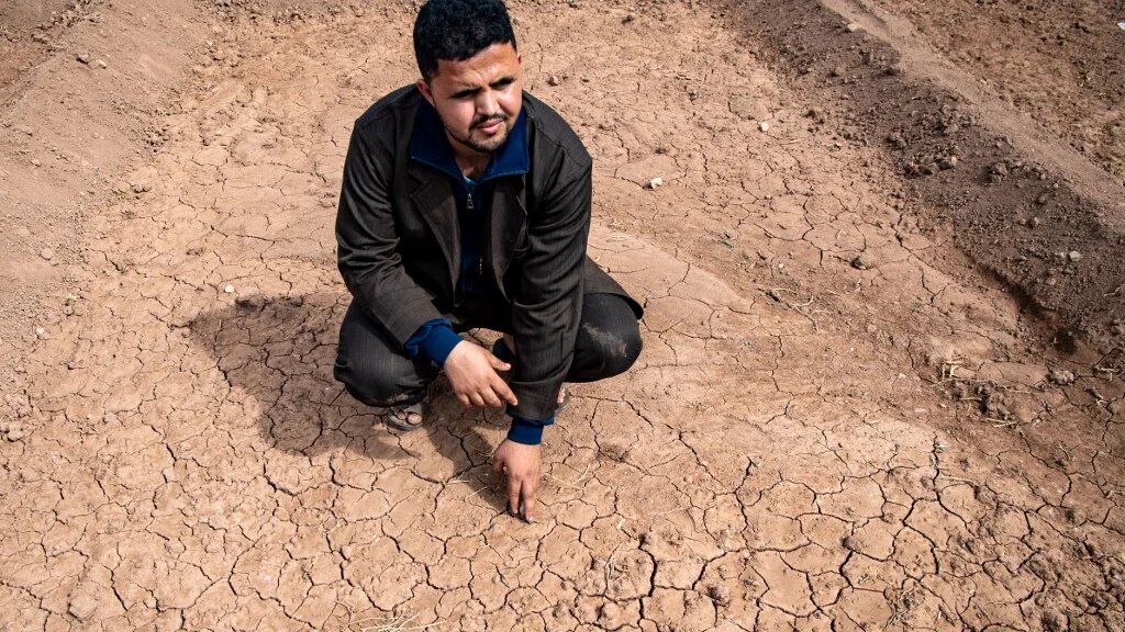 Dans un pays où le secteur agricole constitue le premier contributeur au Produit intérieur brut (14 %), la sécheresse s’annonce comme un désastre (AFP/Fadel Senna)