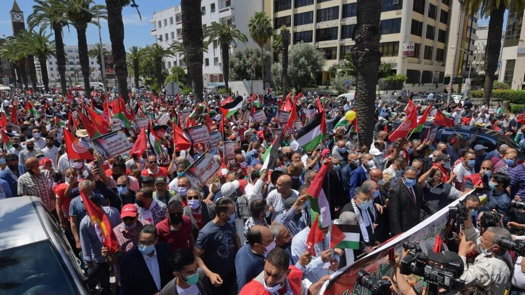 Manifestation de solidarité avec la Palestine dans la capitale Tunis, le 19 mai 2021 (AFP/Fethi Belaid)