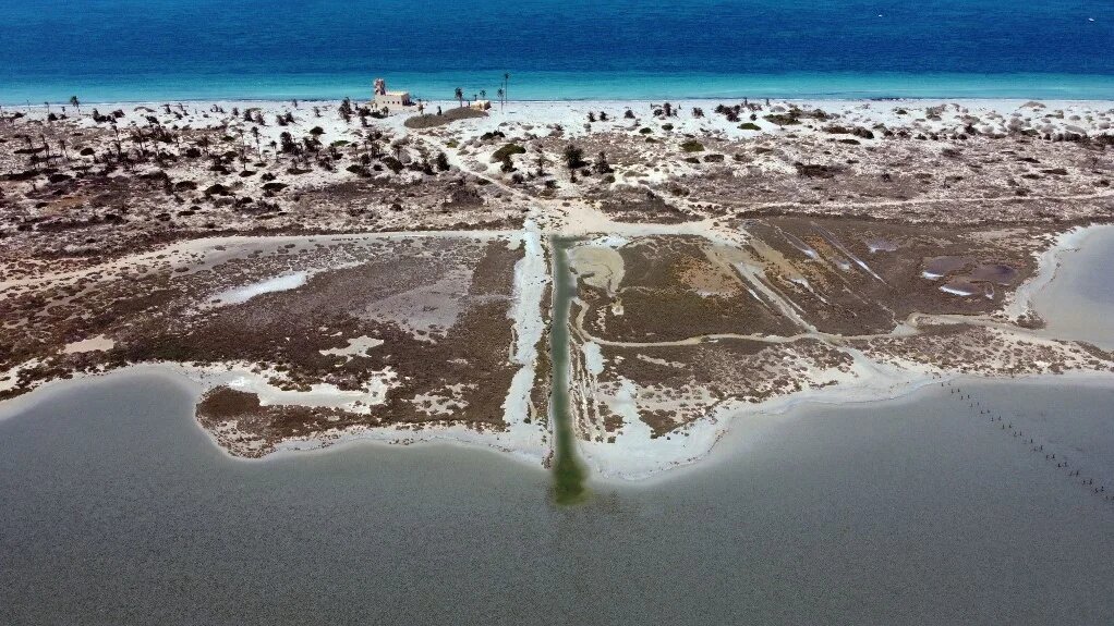 « Farwa est l’une des zones les plus importantes de Libye pour de nombreux oiseaux migrateurs », affirme Tarek Jdeidi de l’université de Tripoli (AFP/Mahmud Turkia)