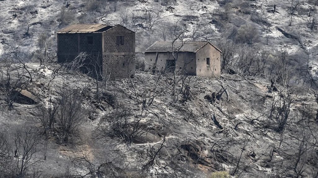 « Nous avons l’habitude des feux de forêts, mais ces feux sont différents et surprenants », témoignent les habitants des zones sinistrées (AFP/Ryad Kramdi)