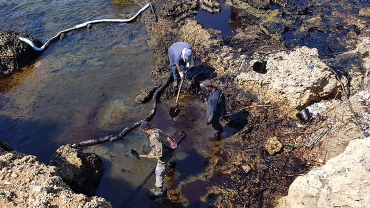 People cleaning Syria's Mediterranean coast following an oil leak from the Baniyas power plant