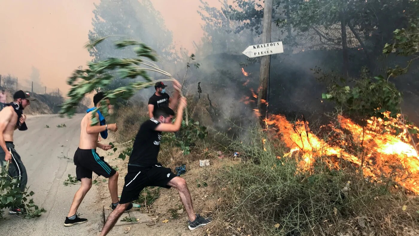 Fires in Algeria