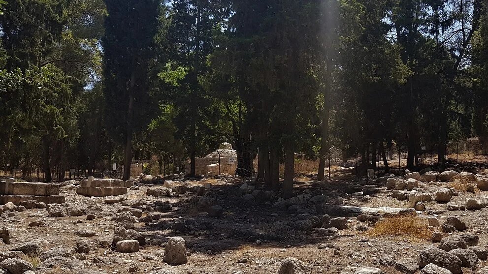 Le sanctuaire d’Abu Ubayda, seul vestige d’Amwas encore debout, après que le village palestinien a été rasé par Israël en 1967. Il est visible à l’entrée du parc Ayalon, près de Jérusalem ; des arbres plantés par le Fonds national juif recouvrent les ruines (MEE/Clothilde Mraffko)