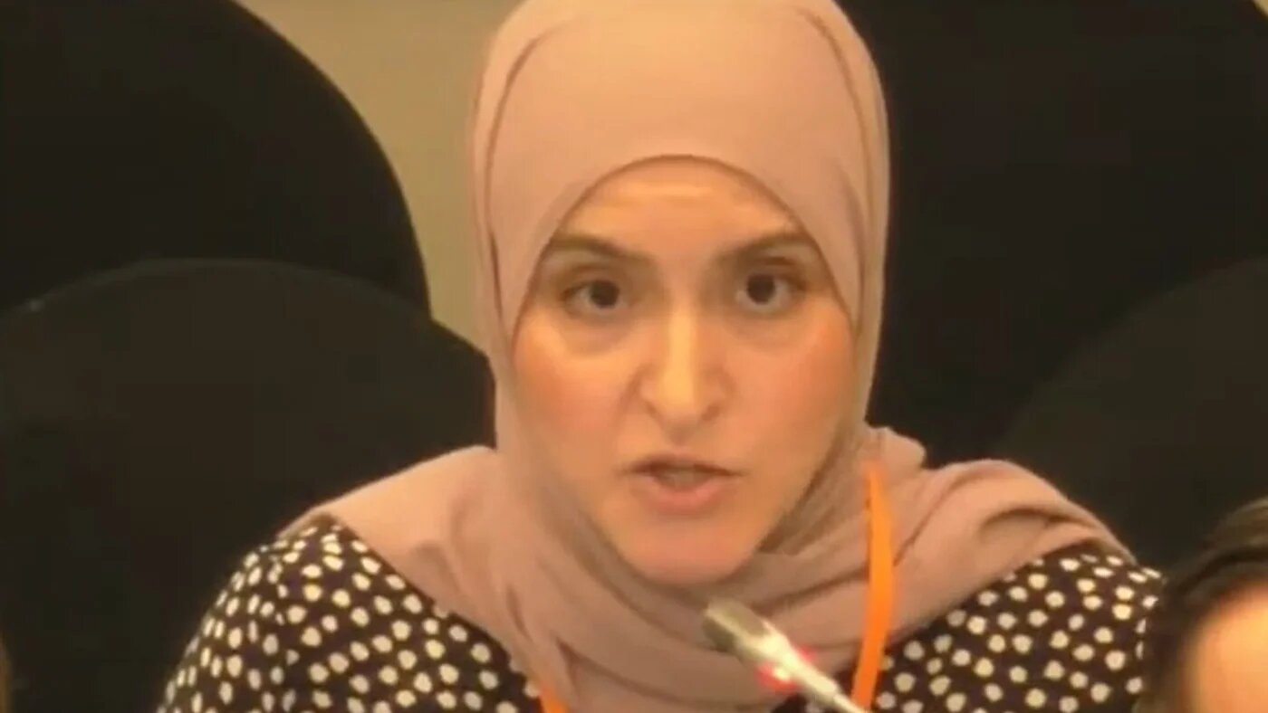 Lamies Nassri said Islamophobia in Denmark was "no longer a far-right issue" (Screengrab)