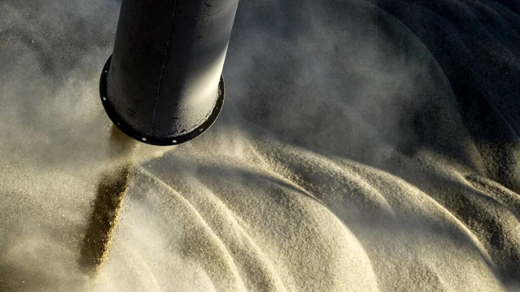 Ukraine has accused Russia of stealing grain from the territories that Russian forces have seized since Moscow's invasion began in late February (AFP)